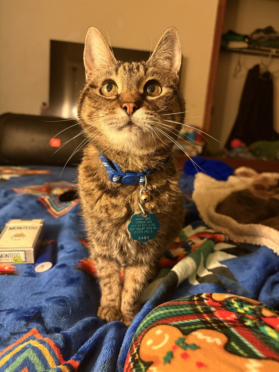 Stefanie tweet media