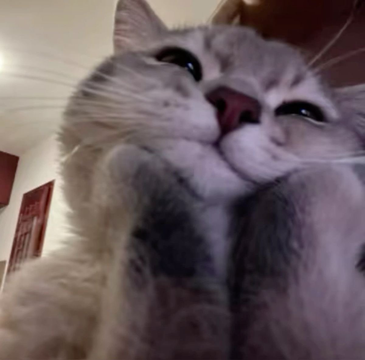 delicatevera's tweet image. Ohhh……..me when her