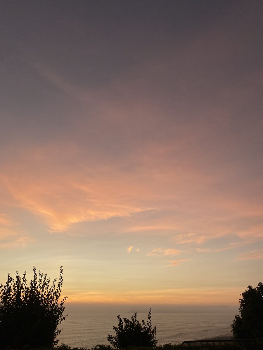mayitosez's tweet photo. https://t.co/XmQNIKmI5P