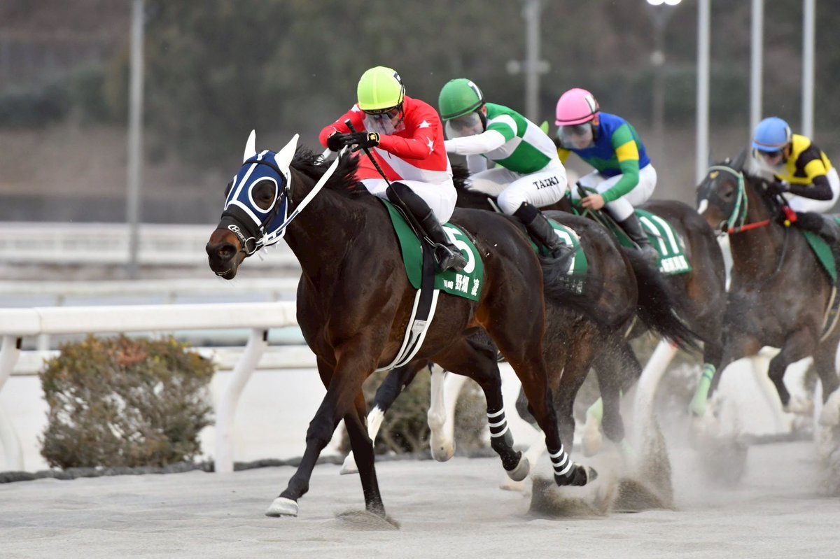 野畑凌 tweet media