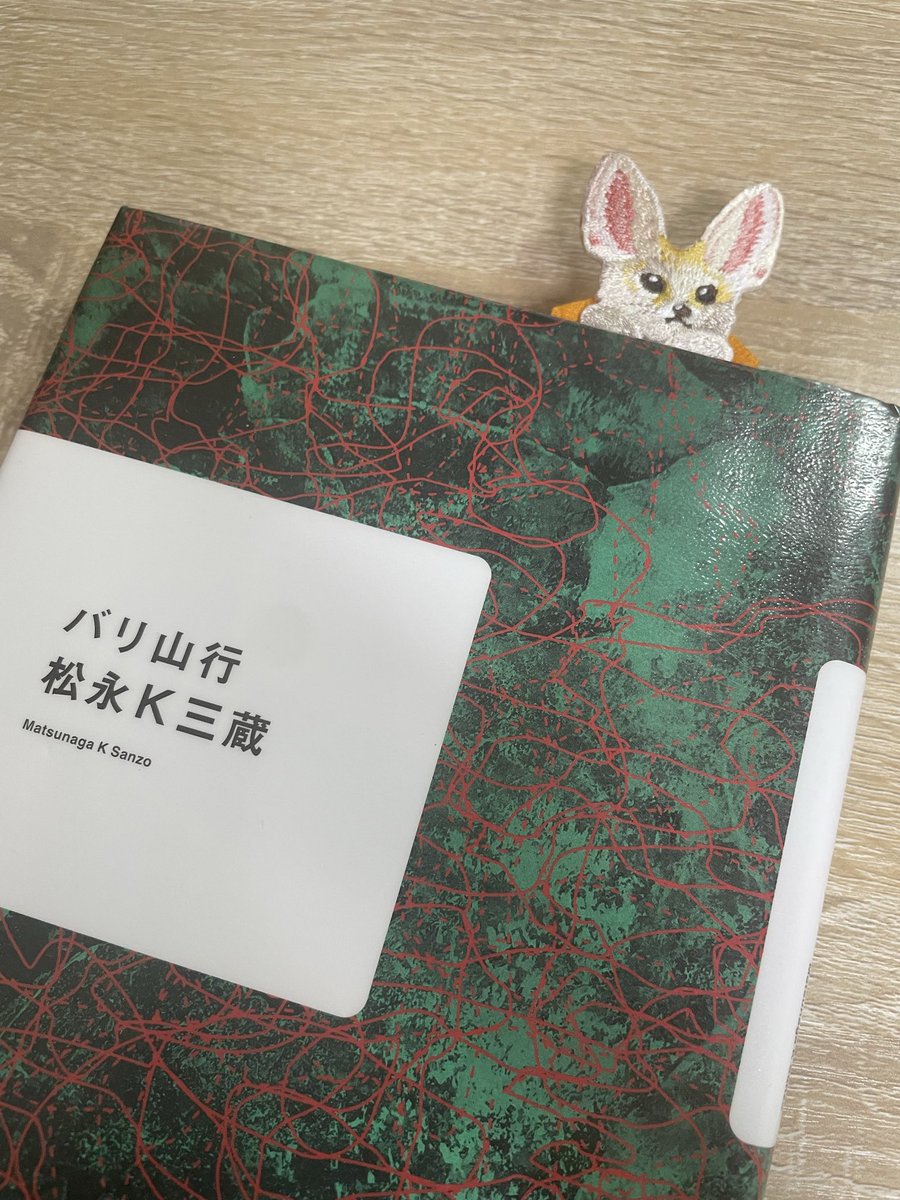 お次はこちらの作品を☺️✨
第171回芥川賞受賞作でございます😌📕
可愛い栞を添えて🔖🤍

#今読んでいる本 
#読書好きな人と繋がりたい