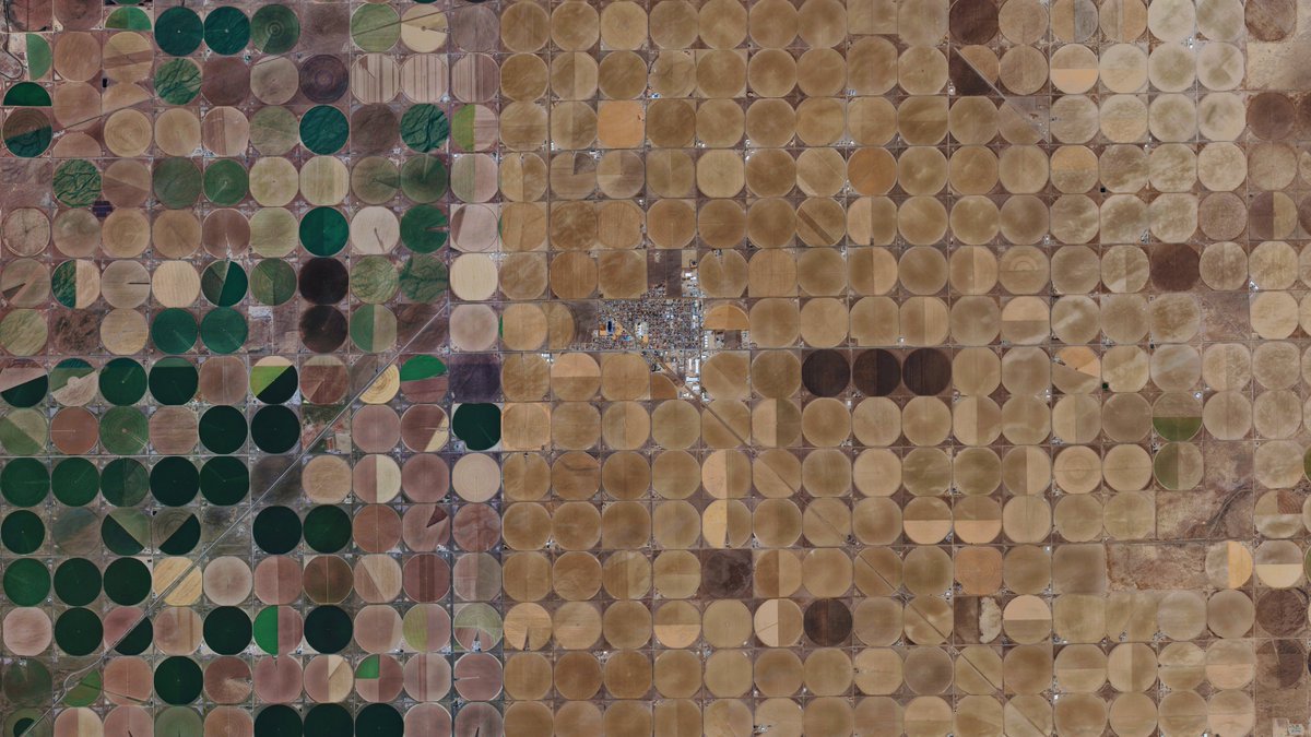 Charly Faricelli tweet media