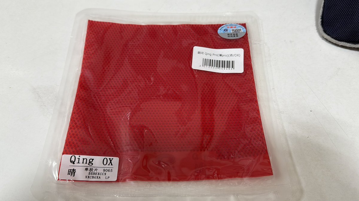 初めまして陳プロ🏓