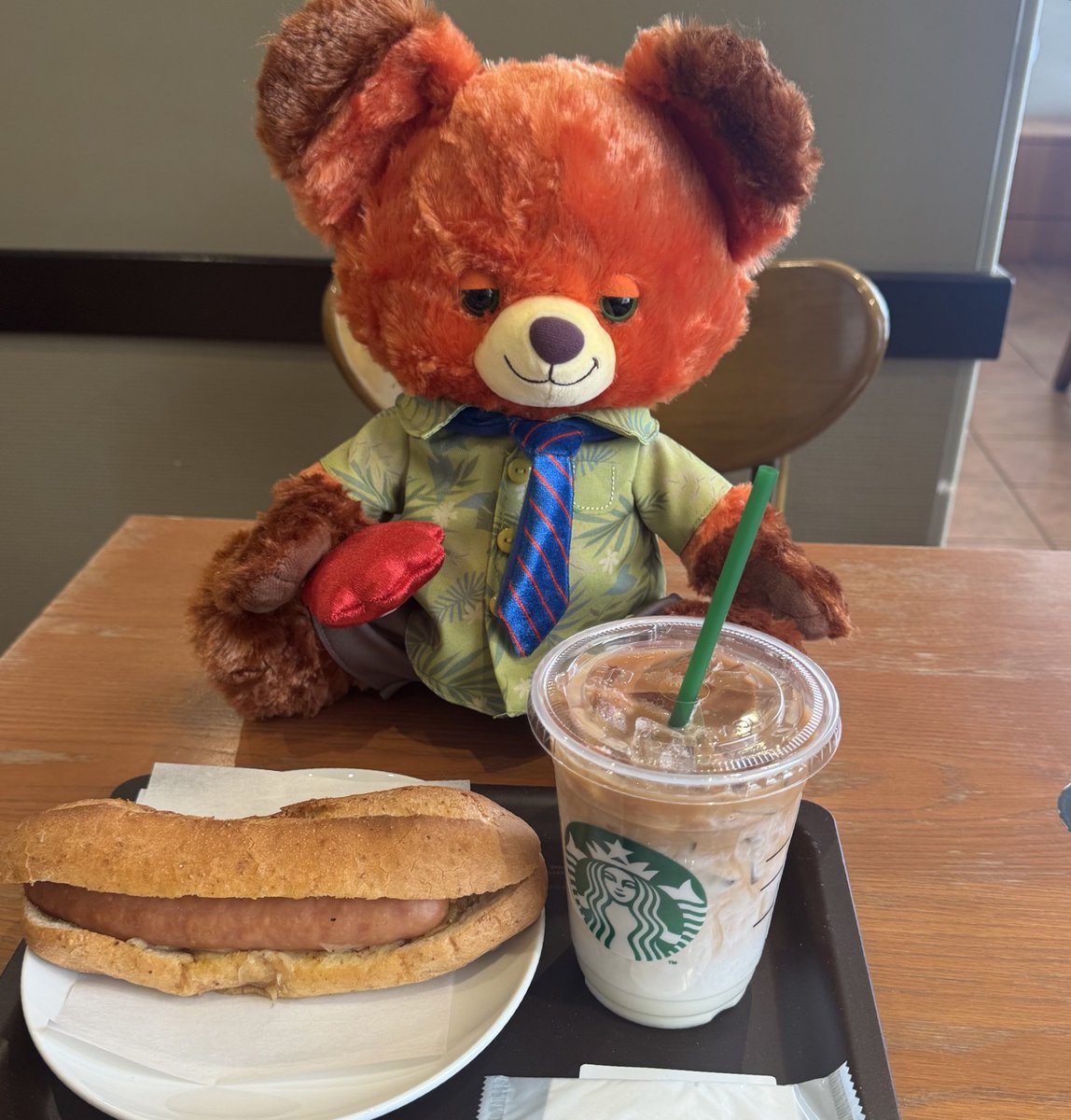 nyaotack's tweet photo. 無事お迎えしたユニベアちゃんとスタバに来ました。耳おっきい。毛フワッフワ。可愛い。
#ぬい撮り　#ぬい活 https://t.co/YKx1yS0aO7