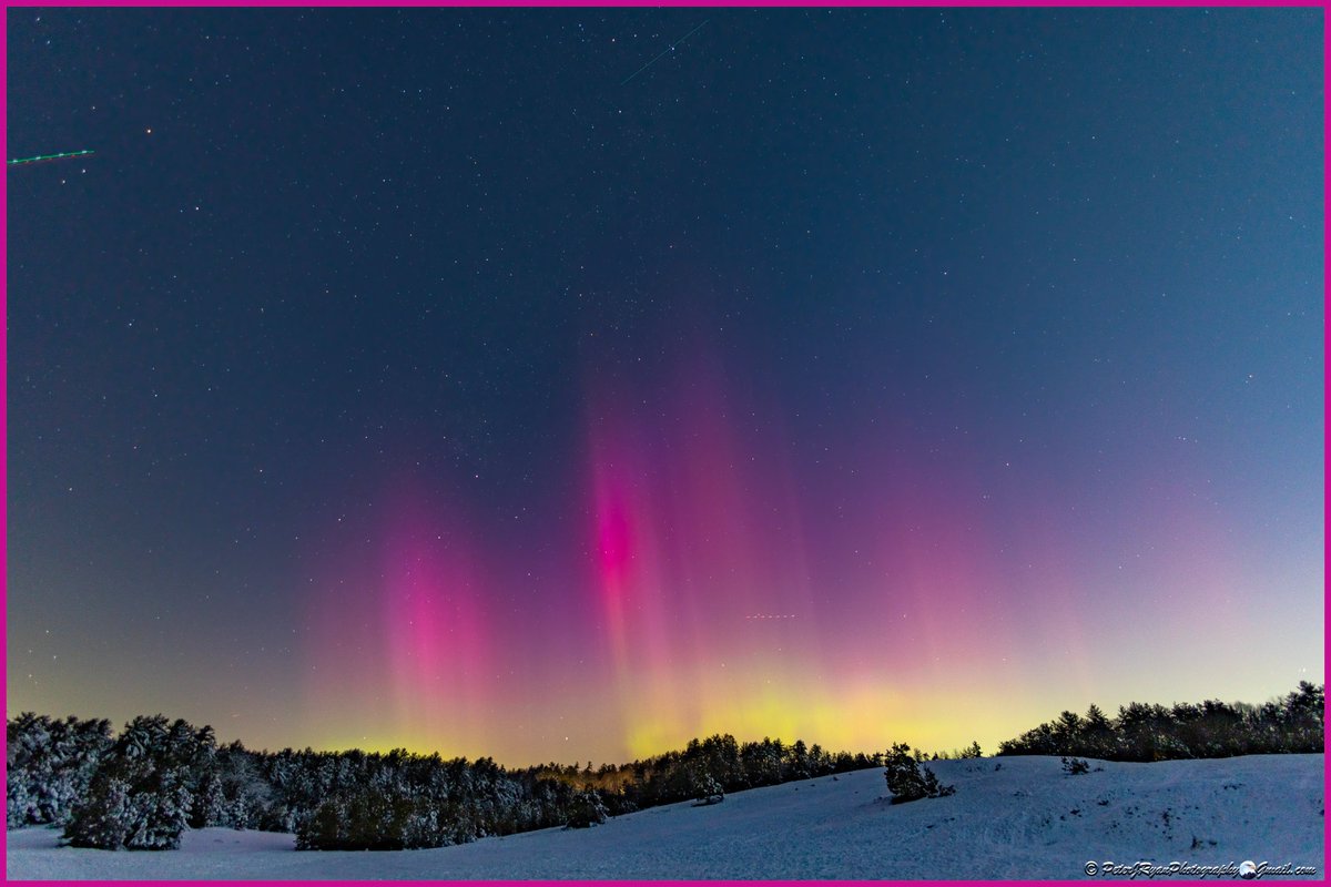 Mark Searles tweet media