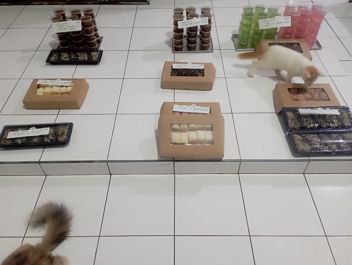 DapurMocca (ORDER BY WHATSAPP) tweet media