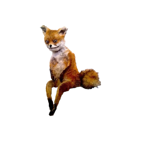 Catalina Marta 💛✨🌙 tweet media