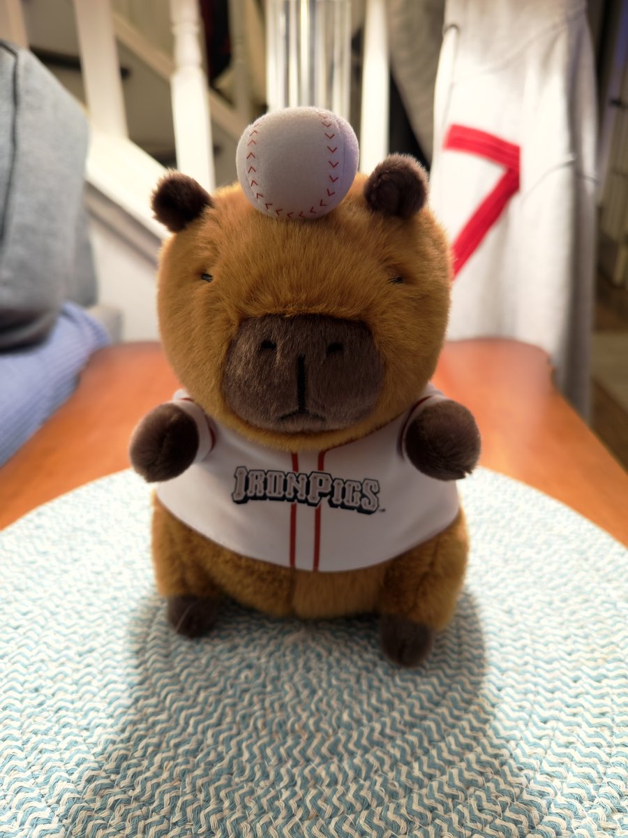 CHAT ITS A BASEBALL CAPYBARA