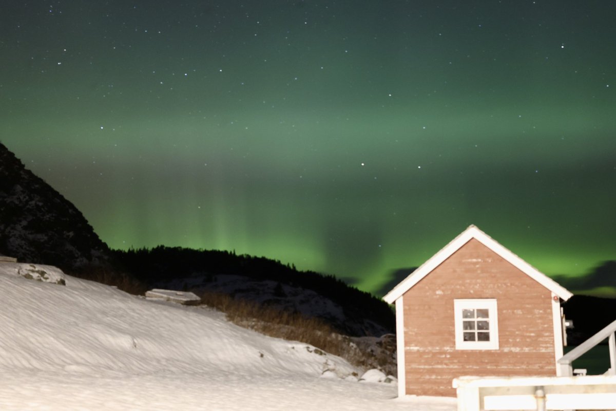diggerjones27's tweet photo. What a night! Hope everyone got a chance to see them. #Auroraborealis #northernlights #nlwx @NLtweets @weathernetwork @EddieSheerr @ryanhardingNL @CanonCanada #trinitynl https://t.co/4S6o4rrfG9