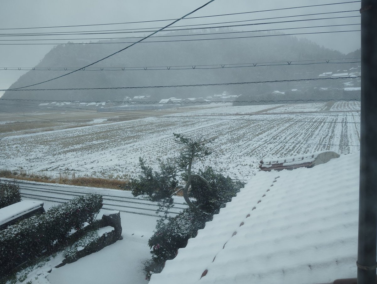 寒いとかそんなレベルではなかった。吹雪いてるし積もってきてるし。灯油が必要だ