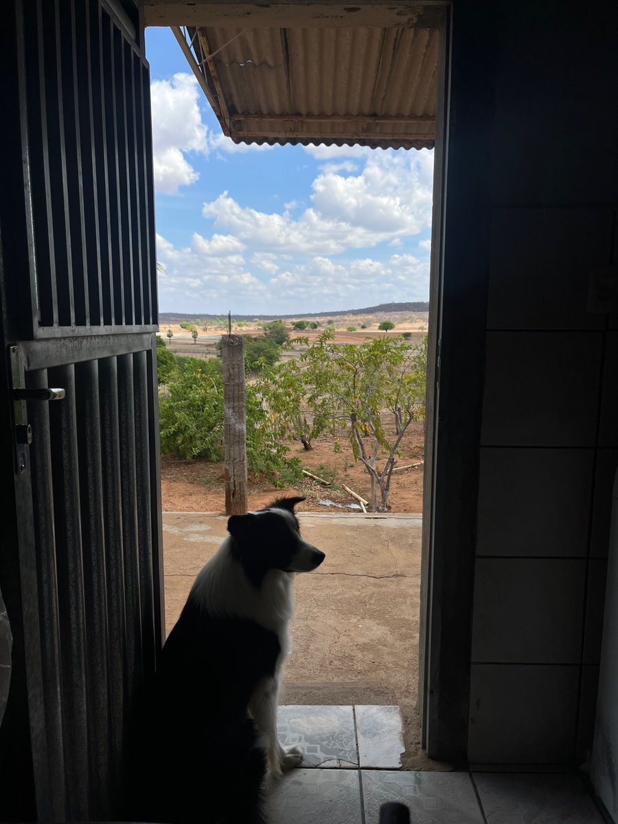 pelpastel's tweet photo. minha cama está cheia de espinho me furando e eu tenho absoluta certeza do culpado https://t.co/2cZz6OqIzJ