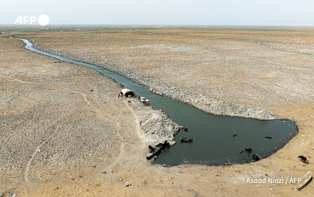 AFP News Agency tweet media