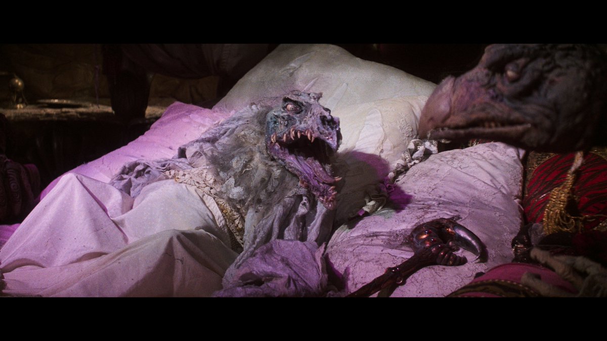 𝖒𝖎𝖈𝖍𝖆𝖊𝖑𝖈𝖚𝖗𝖟𝖎 tweet media