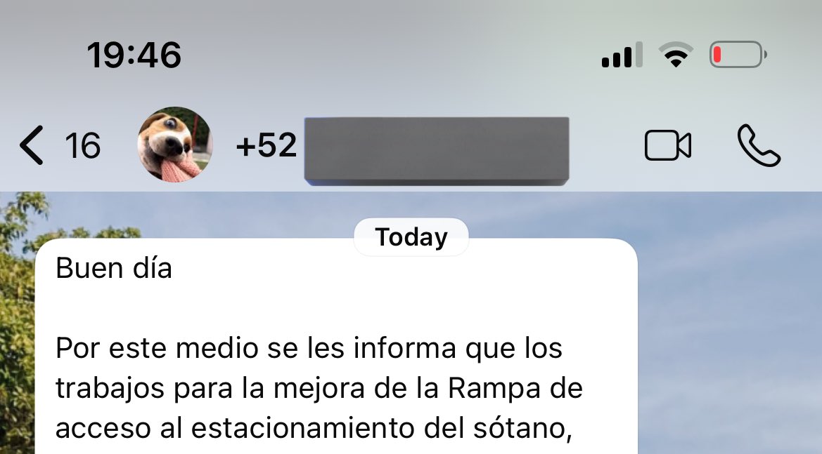 El administrador de mi edificio tiene a su perrito de profile picture y cada que me manda avisos, siento que es un perrito chiflado hablándome.