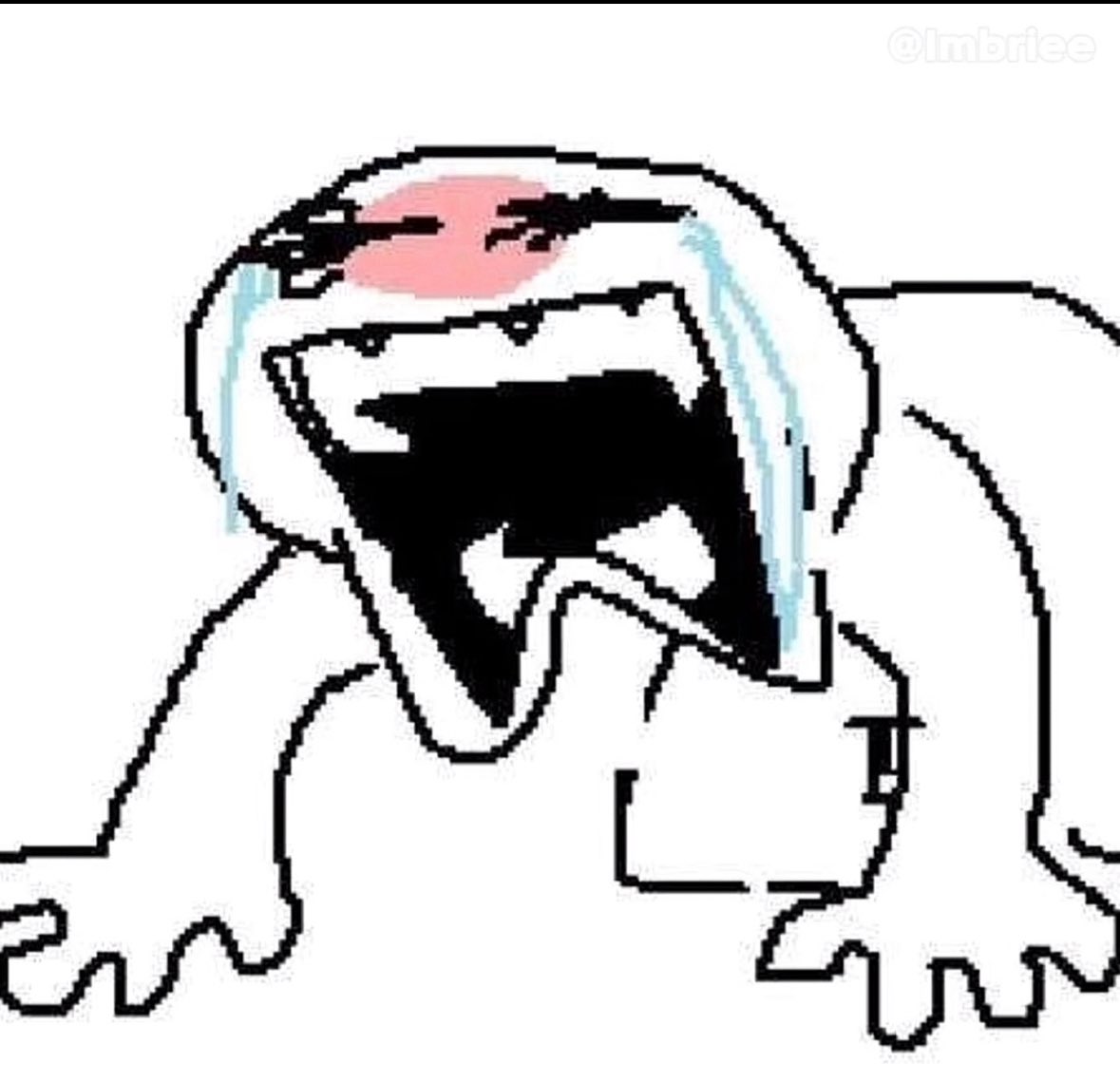 Euphoric Ruin tweet media