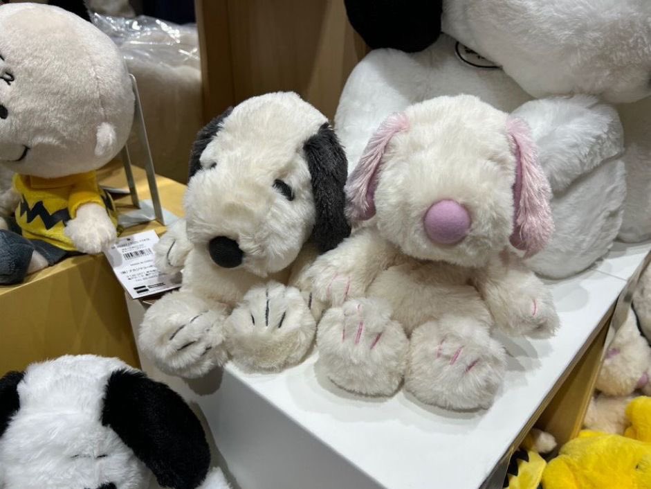 DailySnoopys tweet picture