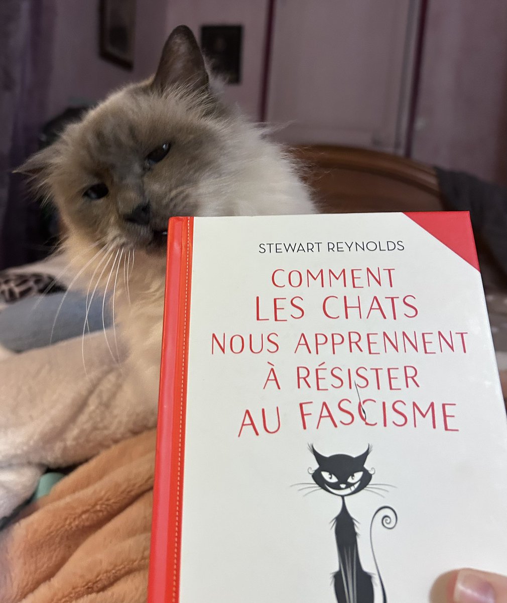 Ganesh LeBirman tweet media