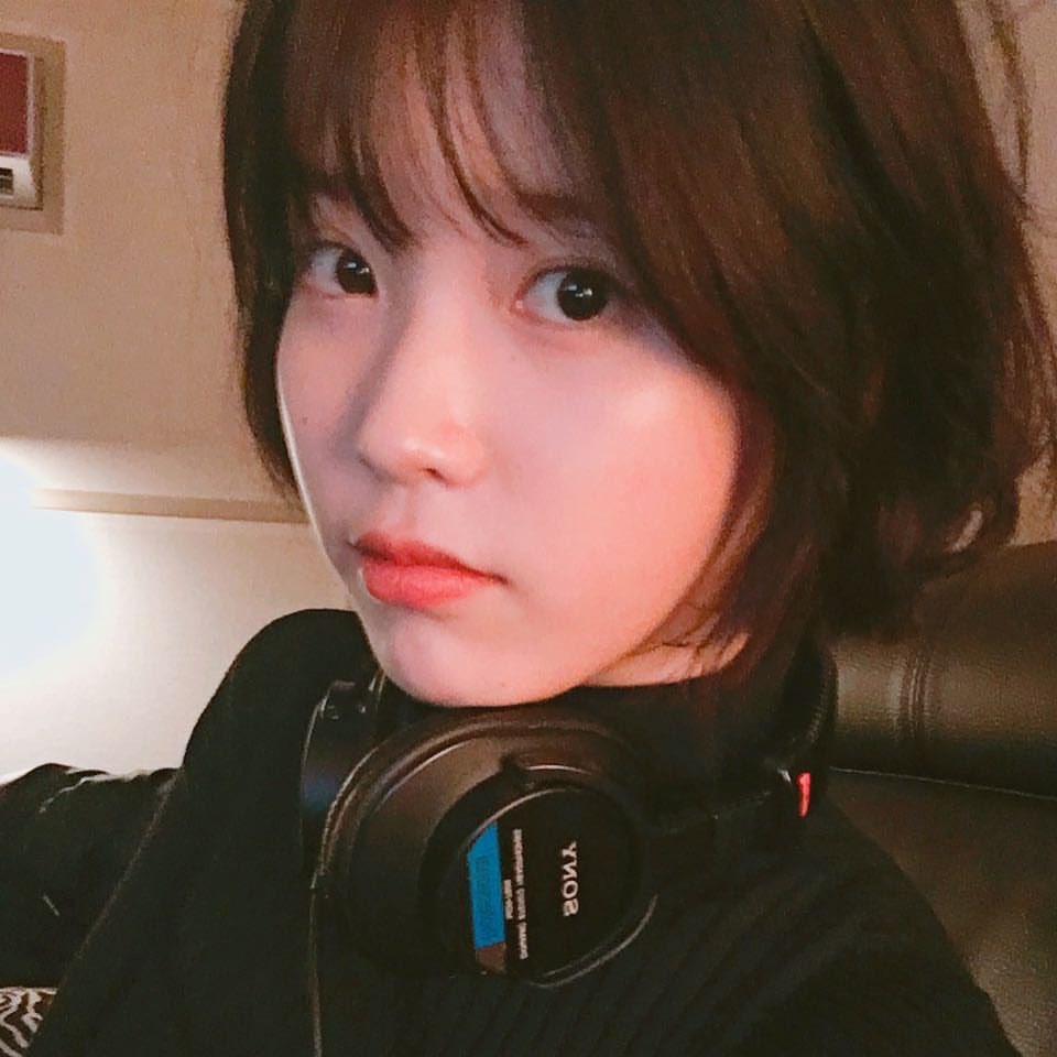 icy_iu's tweet photo. 백투더 2016
아날로그필터에 정방형셀카 그시절 아이유 추팔처하자.......... https://t.co/CH9aTy2jwh