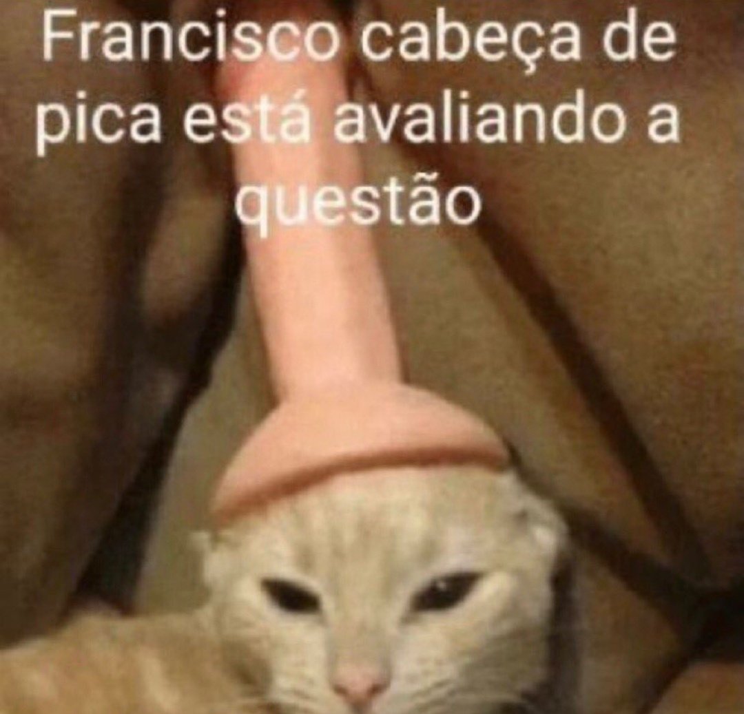 httpsozone's tweet image. é um teste do universo