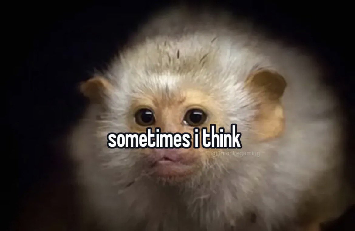 bretkocë (@heriotoropiumu) on Twitter photo 