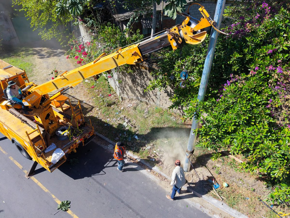 PARTIDO GANA tweet media