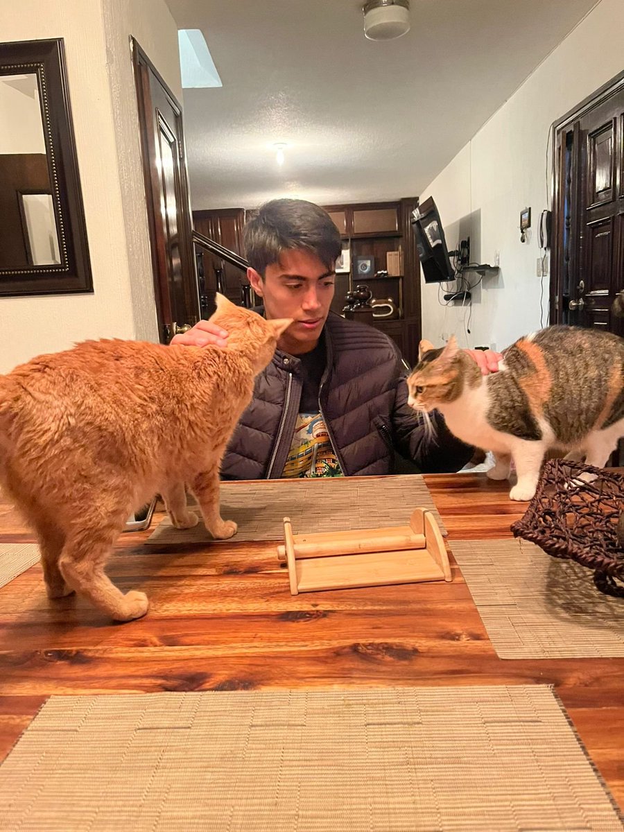 andreleonl__'s tweet photo. mi amigo alergico a los gatos https://t.co/e1mocblQJ8