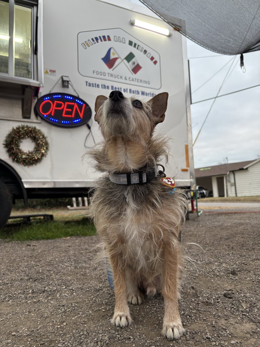 Tried a new Food Truck! So good: