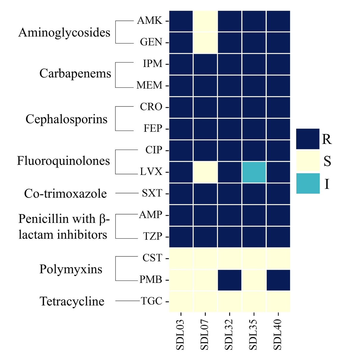 #Genomicinsights into #multidrugresistant #Acinetobacterbaumannii strains isolated from Dhaka, #Bangladesh

doi.org/10.5455/jabet.…