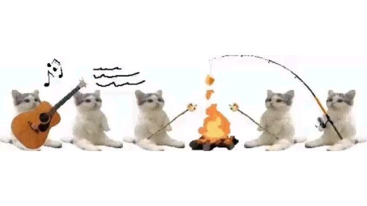 lumeaceso's tweet image. #collegetwt . #studytwt . #studytwtbr 

• me chama de Lu! 
• ex-graduando de audiovisual
• foco: enem, fuvest &amp;amp; ufpr
• nb, uso qualquer pronome &amp;lt;3
• ferretto &amp;amp; estuda.com
• sobre mim: amo jão, linkin park, caipirinha e arte! 

♡/↺ = mutuals