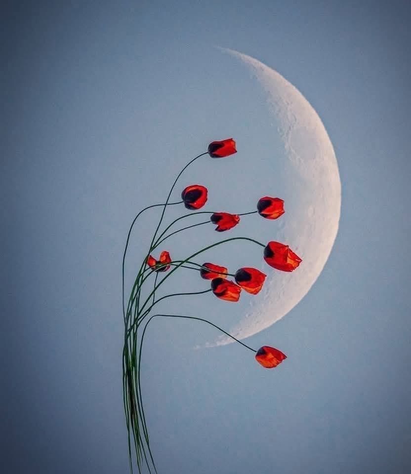 💫 كُن ممتناً لكل ما يمر بحياتك لأن كل ما يمر
    يحمل رسالة مِن الله اليك 🥀

    - جلال الدين الرومي