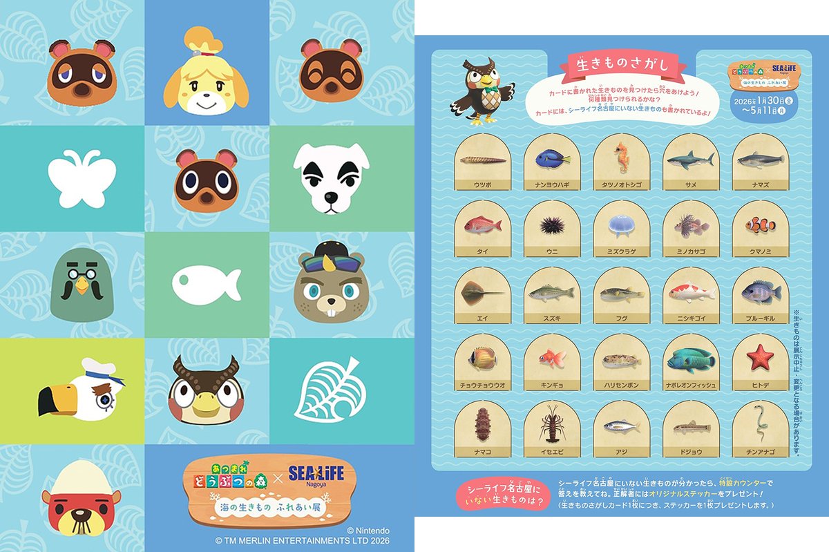 モデルプレス tweet media