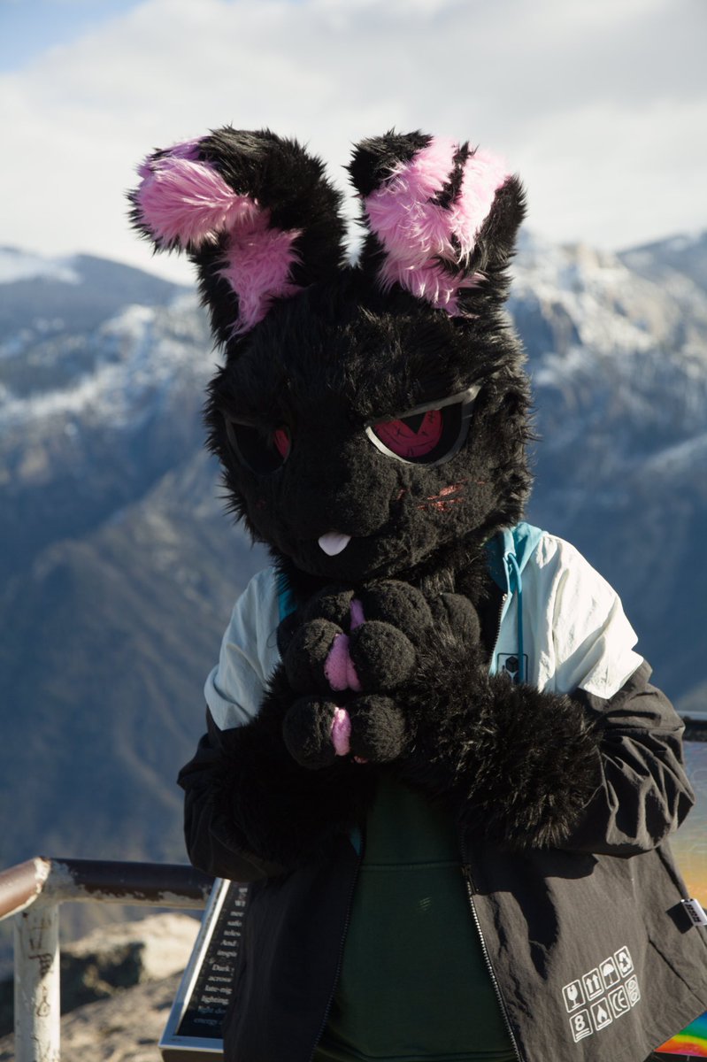 BunBun tweet media