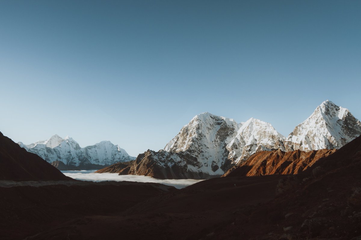 Alex Mack tweet media