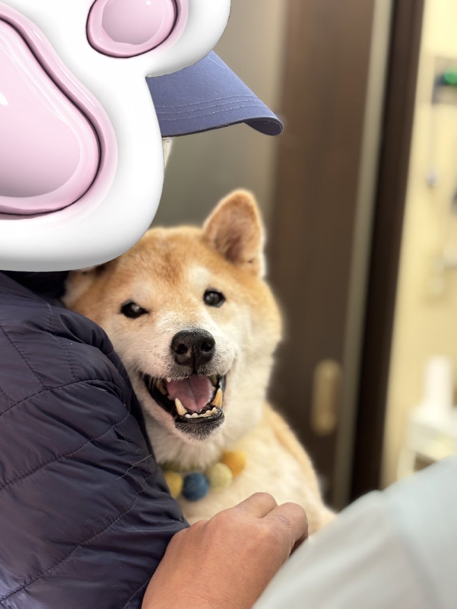こんにちは☁️🌪️

今日はまぁくんの5回目の月命日🍀🌈

去年の今頃　パテラのピンが痛くて夜泣きして🥹　原因が分からなくてオロオロしてたのを思い出す
それでも🏥でこんなに優しく笑ってくれてたね　大好きな1枚💕

本当に寒いからみんな風邪ひかないでね😘