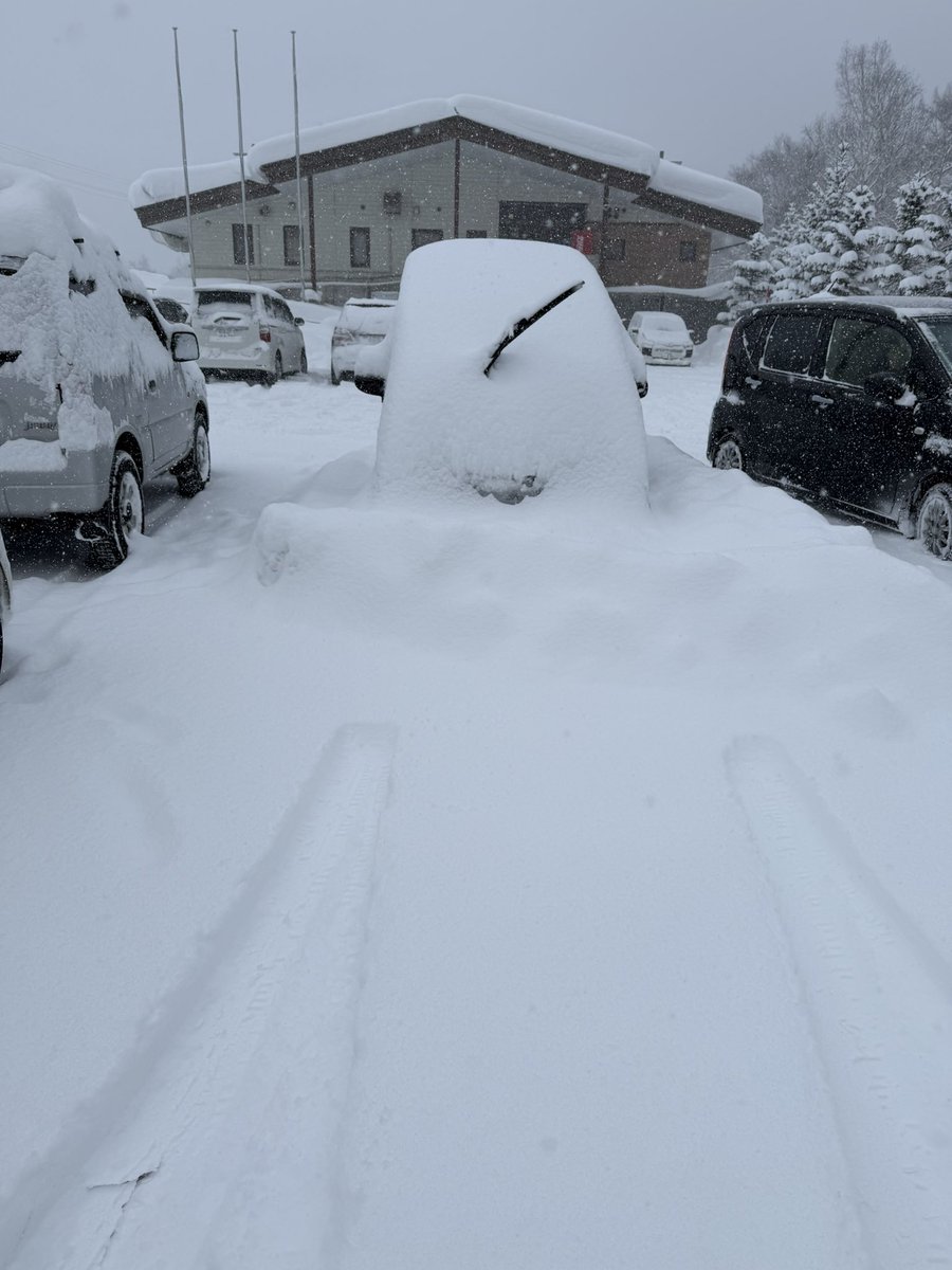 David Abbott tweet media