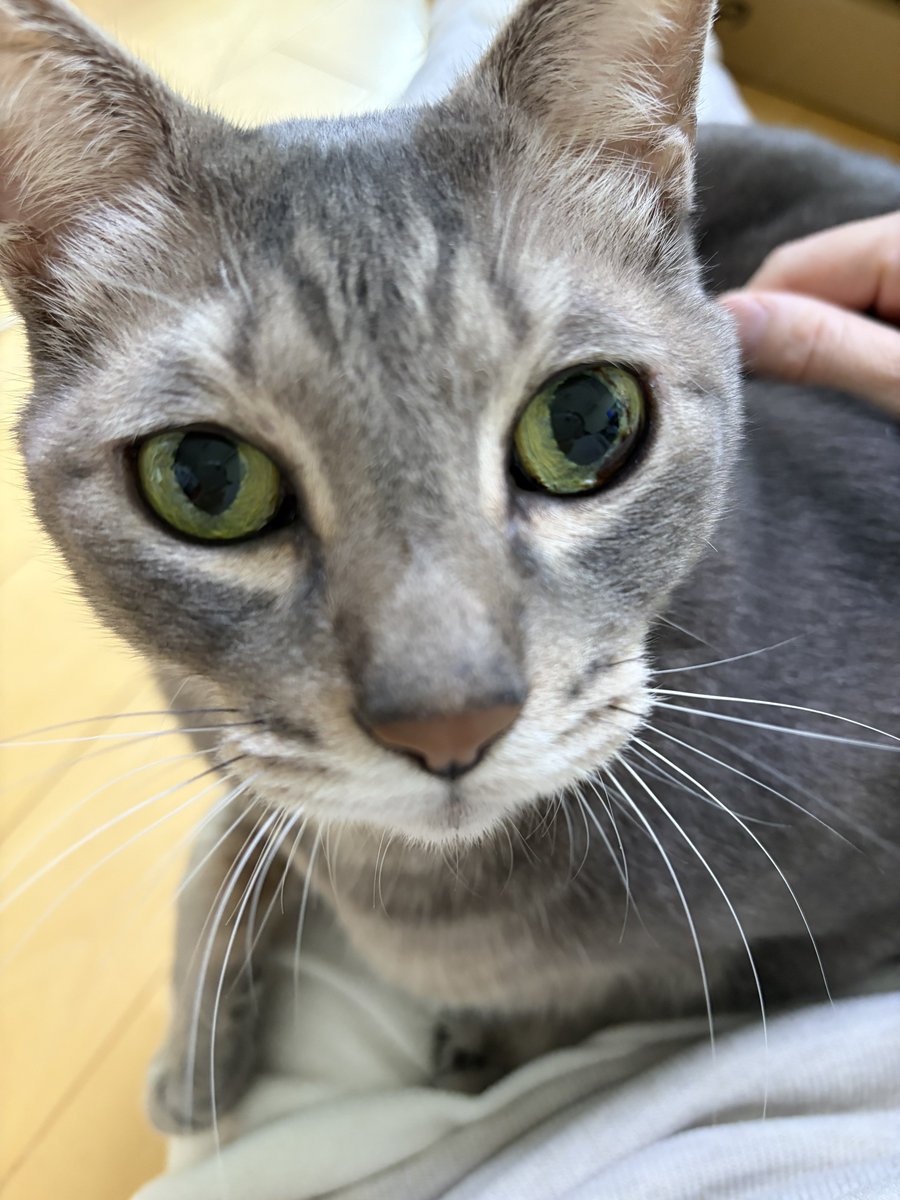 🥩菊壱🥩 (@029akami_chan) / Posts / X