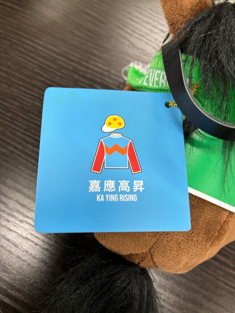 📢お知らせ📢

／
25年度ロンジンワールドベストレースホース
ランキング第2位タイの”最強“スプリンター
「カーインライジングのキーチェーン」を
1名様にプレゼント🎁
＼

📝応募方法📝
・<a href="/sponichikeiba/">スポニチ競馬Web🐴</a> をフォロー
・この投稿をリポスト
　〆1月25日

当選者には、DMを送付いたします🙏