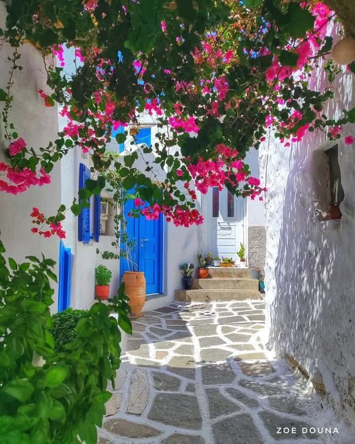 👑GRUP İKTİSAT👑
<a href="/Minm35/">Mine</a>
<a href="/Hizireli/">Murat HIZIR</a>
<a href="/mkus27/">Mevlüt27⭐⭐⭐⭐⭐</a>
<a href="/1enql/">Berk</a>
<a href="/1lrqm/">🇹🇷SeNCeR🇹🇷</a>
<a href="/IboG27/">ibo</a>
<a href="/SiirSL_/">𝗦𝗶𝗶𝗿𝗦𝗟_💣💯✌️💯✌️💯✌️</a>
<a href="/01Bergu/">Berguzar01</a> 
<a href="/Ozi__06/">İç_ses🙋🏻‍♂️</a>
<a href="/SuMeri35/">SuMeri</a>
<a href="/20ysf1/">Yusuf</a>
<a href="/1j_qz/">âLp</a>
<a href="/kitleikna/">Sir Vival</a>
<a href="/SiirSL1/">🌬️@SiirSL1🎊🎊</a>
<a href="/Mehter_22/">Mehmet⭐⭐⭐⭐⭐💙💛</a>
<a href="/Glsm21/">@Glsm</a>
<a href="/Erdal_Demiir/">🇹🇷ERDAL DEMİR🇹🇷</a>
<a href="/Akkurt026/">Emre Akkurt</a>
<a href="/drssn_42/">Dursun</a>
<a href="/ik_ra1/">💕𑜞᭄ °•°Pişştt...Herkes işine baksın 💕𑜞᭄</a>
<a href="/1_drs42/">Dursun</a>
<a href="/nlf16/">NİLÜFER</a>
<a href="/AnafartaUzer/">eksenbir</a>
<a href="/Bortebey/">Bortebey</a>
<a href="/EeeSaoh/">s.baha can</a>
<a href="/Krklm_/">𝓗𝓪𝓴𝓪𝓷</a>
<a href="/Ramazan1814981/">RaMaZaN</a>