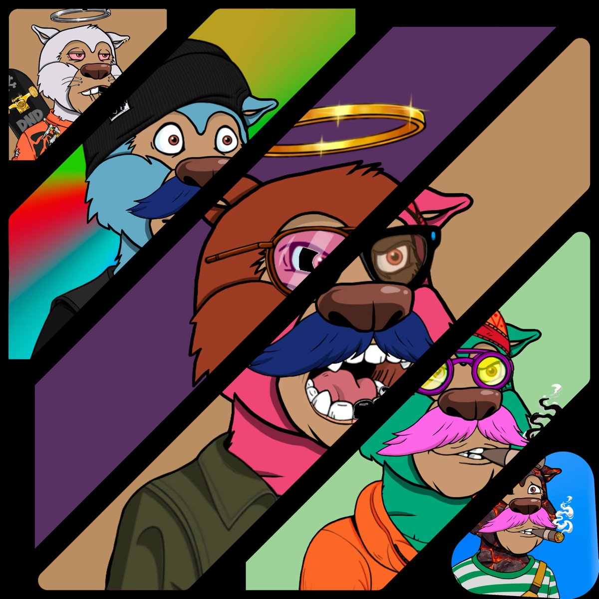 DHONI NAUGHITY DROP tweet media