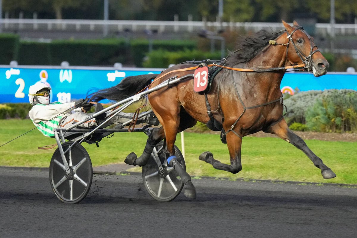 📍 Direction Cagnes-sur-Mer ce mercredi avec 2 partants, ainsi qu’Angers !