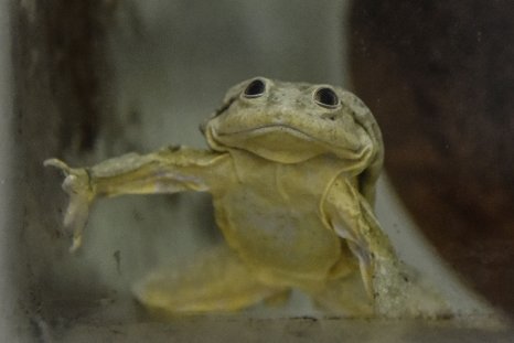 killbluescreen's tweet image. need one of these folk