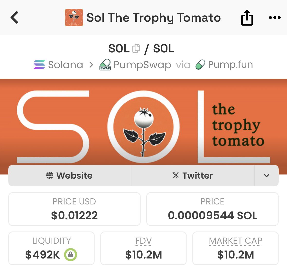 Sol the Trophy Tomato dev followed me…..maybe he knows I’m over 100x on it coin and never sold 

Send $SOL to $100m , I need to see something 🤔