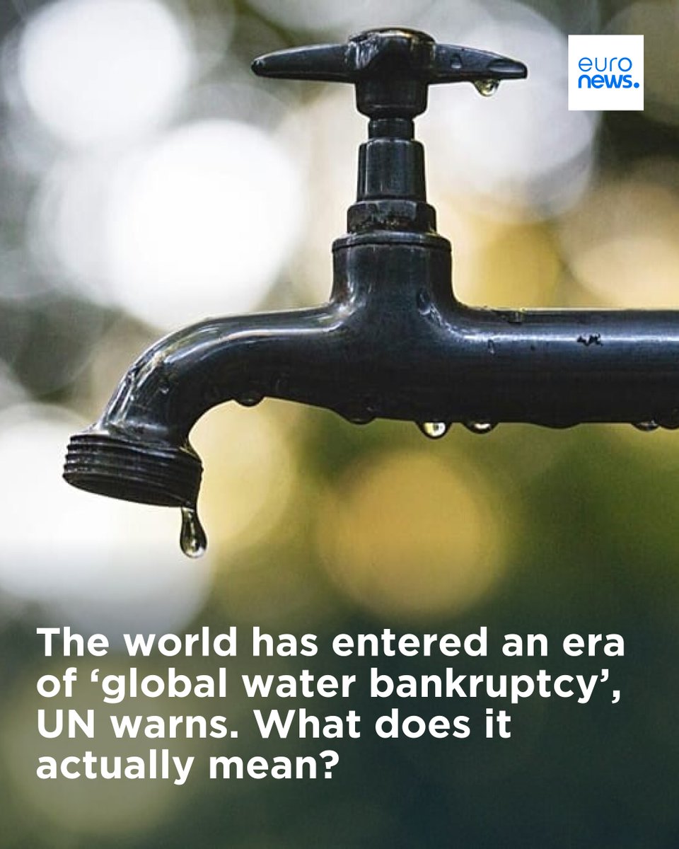 euronews tweet media