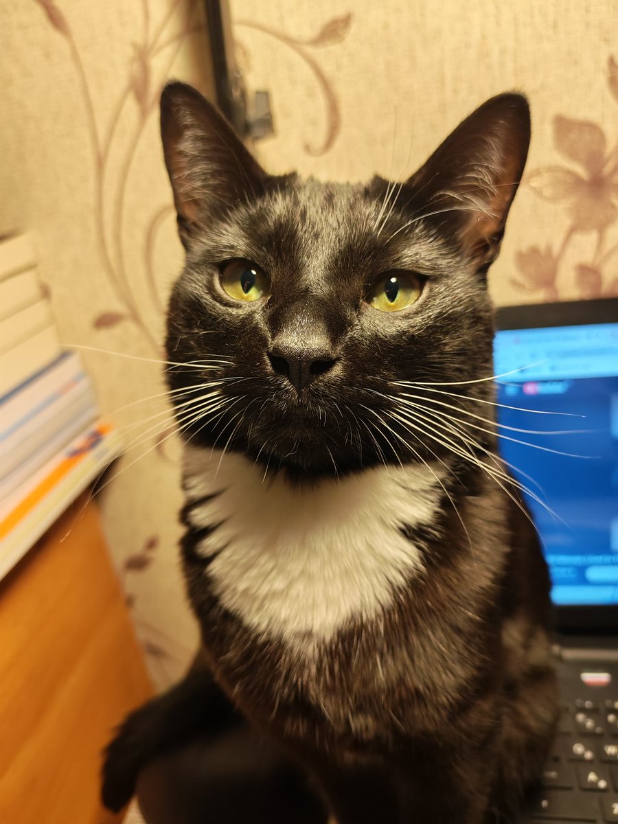 InnaEdgn's tweet image. Усыыыыы 🤍🖤