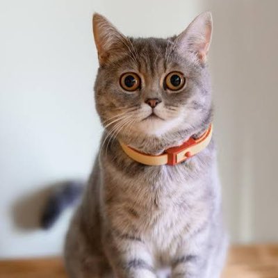 Egal432's tweet photo. #NewProfilePic https://t.co/TOjJP37u1W