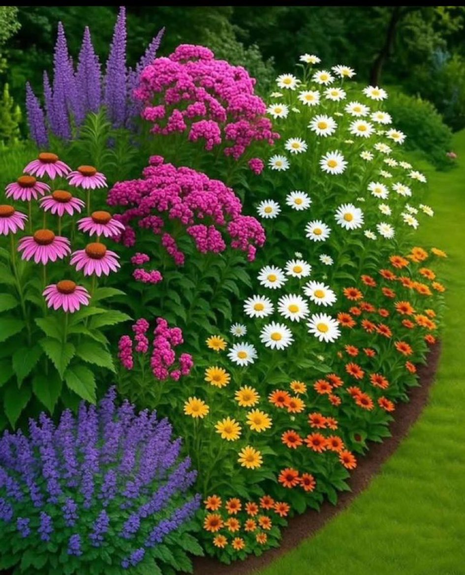 Good afternoon ☀️