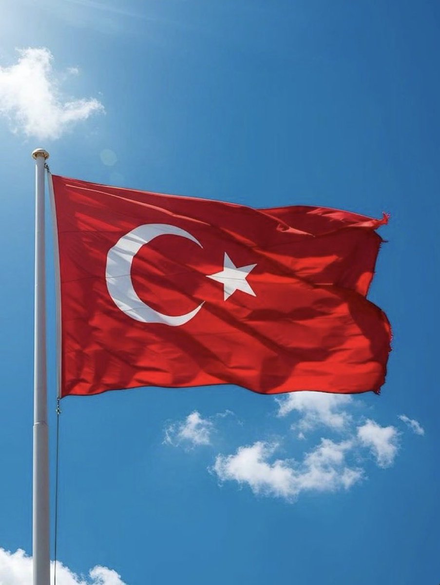 BAYRAK İNMEZ! 🇹🇷 

#BayrakNamustur