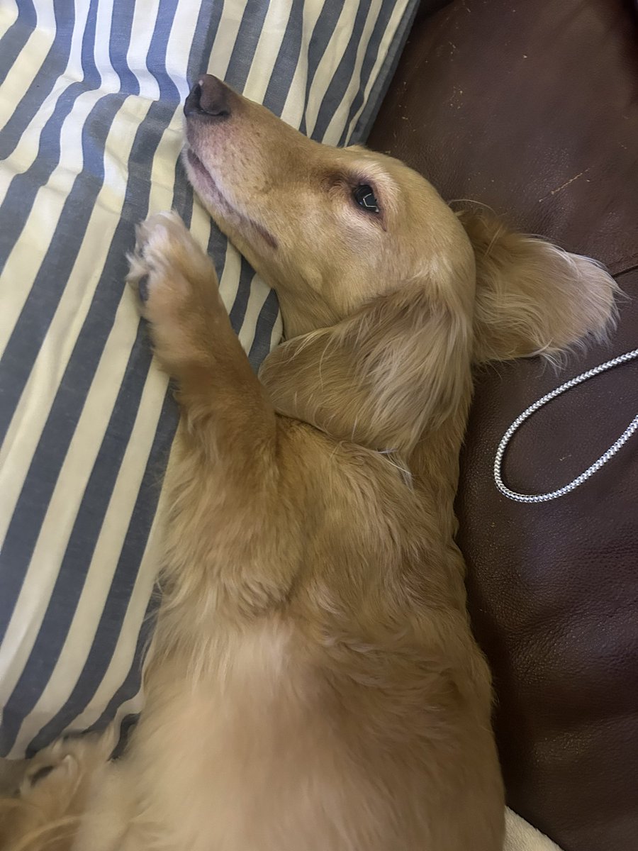 30cm's tweet image. 愛おしすぎる