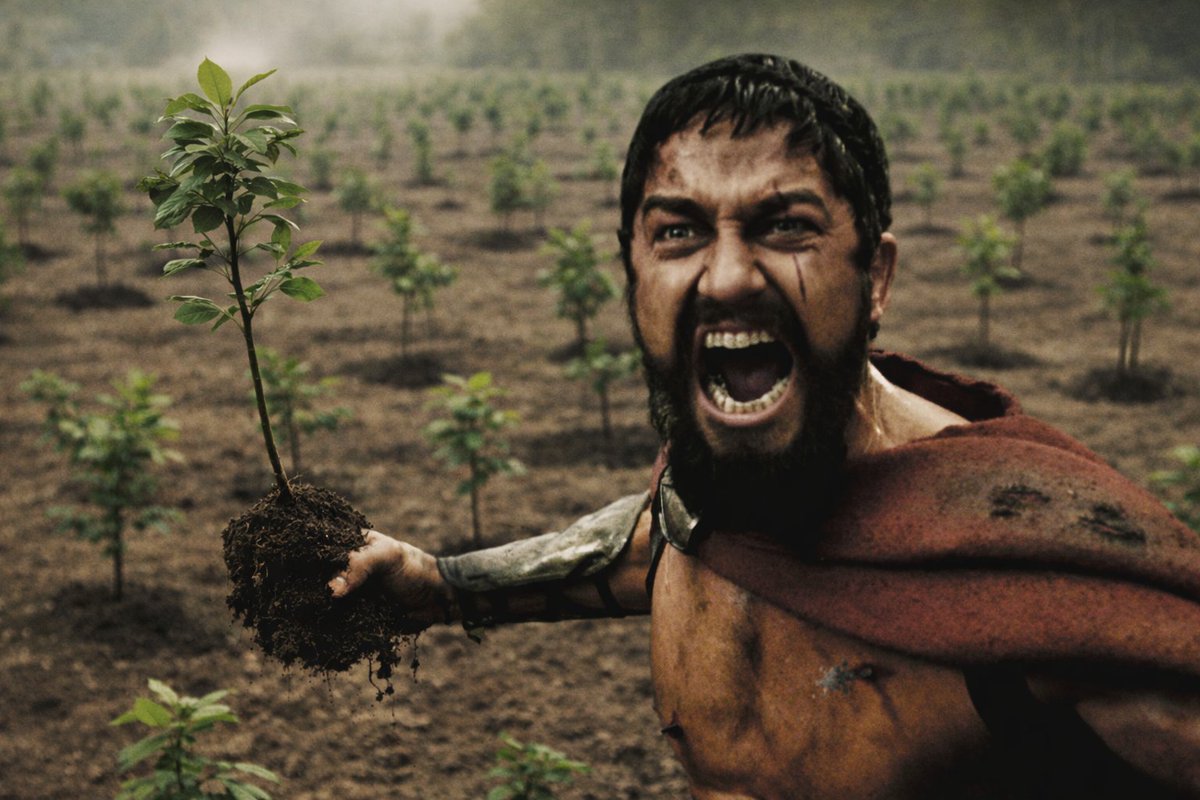 trees_terra's tweet image. Thank you @yishan for updating our community and burning your $TERRA supply 🔥

Now we are fully set to deliver a lots of trees for @TF_Global and our planet 🌍

Let's plant some trees crypto people 😎
BBSAW49Sru7jiSajWVKTSWs39psrjjHbMMtWGWTJBAGS

THIS IS TEEERRRRRRAAAAAA🌳…