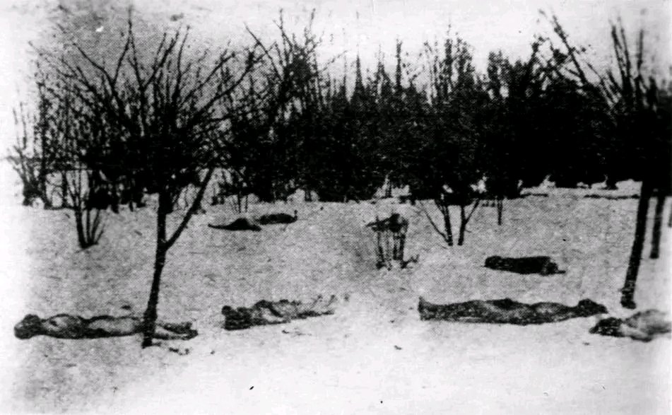 IsraelinRomania's tweet image. Astăzi comemorăm 85 de ani de la sângerosul #Pogrom #legionar din #București. 

În zilele de 21-23 ianuarie 1941, Capitala #României 🇷🇴 a devenit "Orașul Măcelului", așa cum a scris reporterul evreu Filip Brunea-Fox. 

La 21 ianuarie 1941 începeau trei zile de violențe extreme